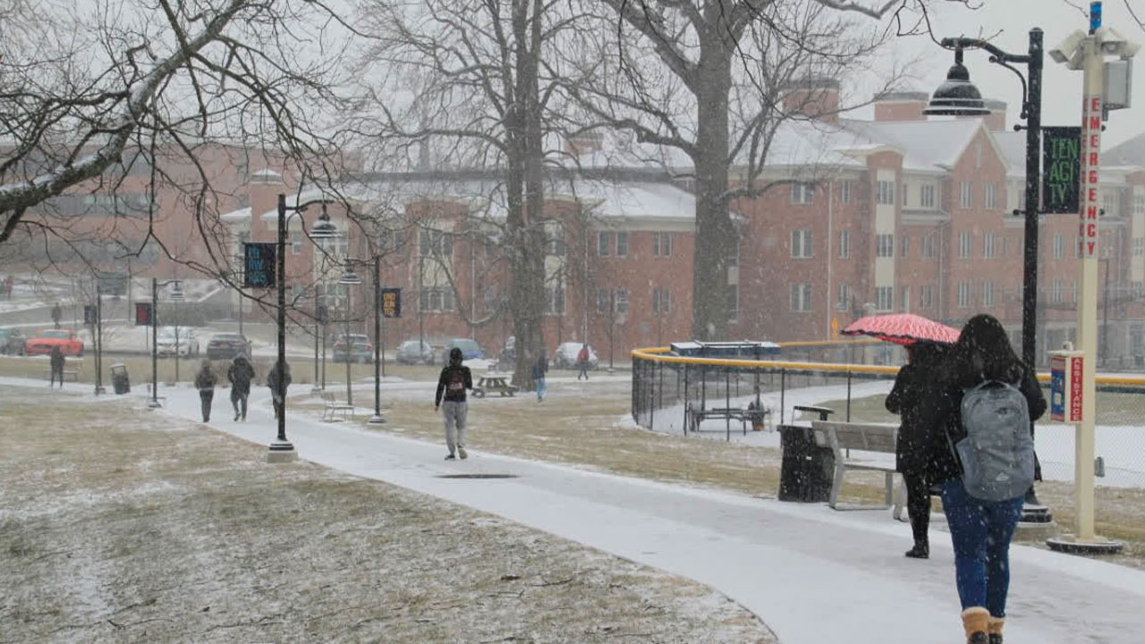 Mercy College