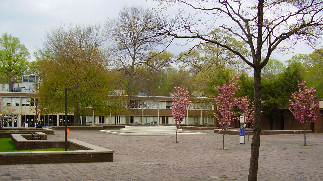 New York Institute of Technology