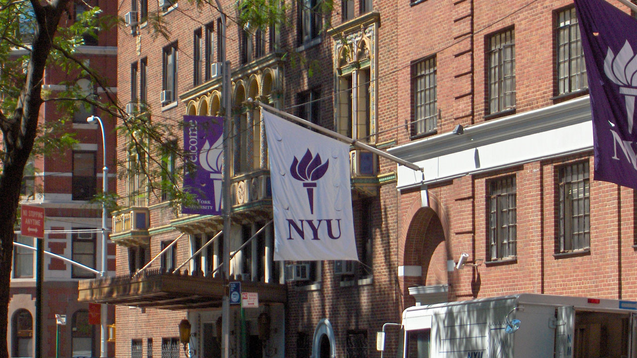 New York University