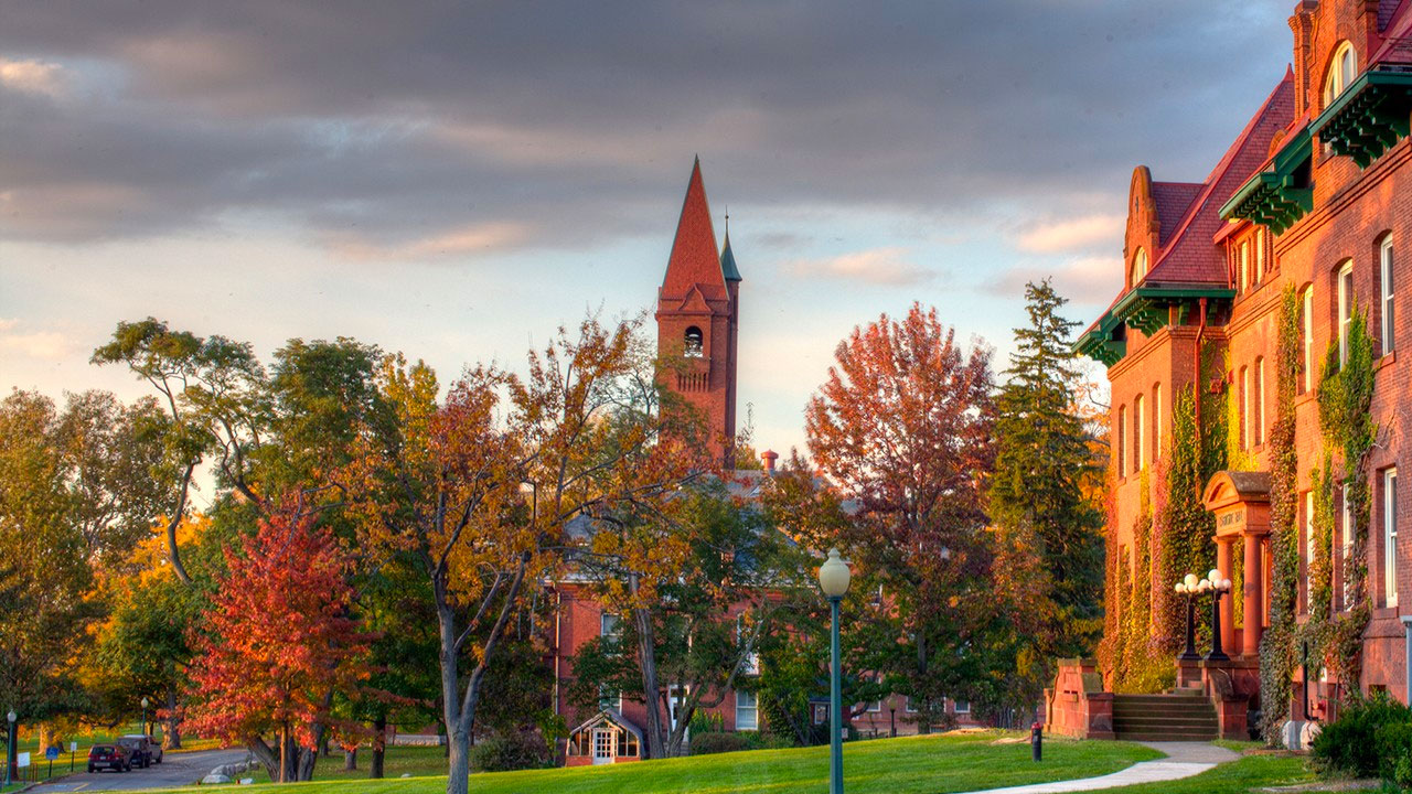 Wells College